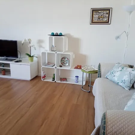 Vistas Sobre O Rio Tejo *